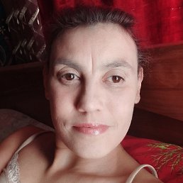 ����, ������, 41 ���