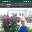 ���� ������, ����, 63 ���� - ��������� 15 ���� 2023 � ������ ���� ����������