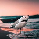 ���� ������, ����-�����������, 51 ��� - ��������� 23 ����� 2023