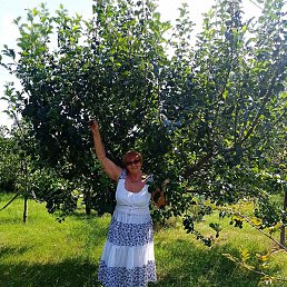 �����, ������, 62 ����