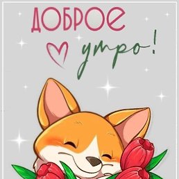 ���� ���, ����� �������, 48 ��� - ��������� 6 ��� 2023