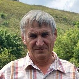 ��������, ������, 67 ���