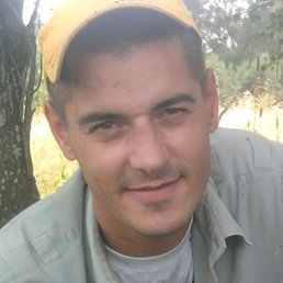 ����, �������, 41 ���