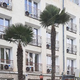 ������, �����������, 32 ����