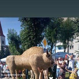 ���� ������, �����, 66 ��� - ��������� 7 ������� 2023