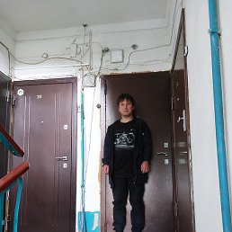 ����, ��������, 41 ���