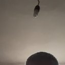 ���� �����, ���������, 50 ��� - ��������� 10 �������� 2023