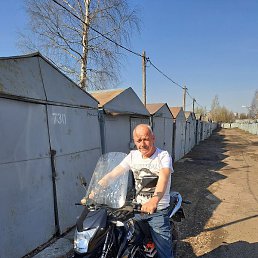 �������, �����-���������, 49 ���