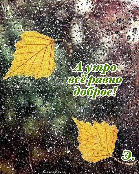   ,    . - 9  2023  22:02