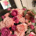 ���� ����, �������, 47 ��� - ��������� 3 ������� 2023