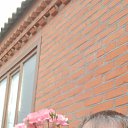 ���� �����, ������, 55 ��� - ��������� 1 ���� 2023 � ������ ���� ����������