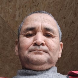 �����, ���������, 54 ����