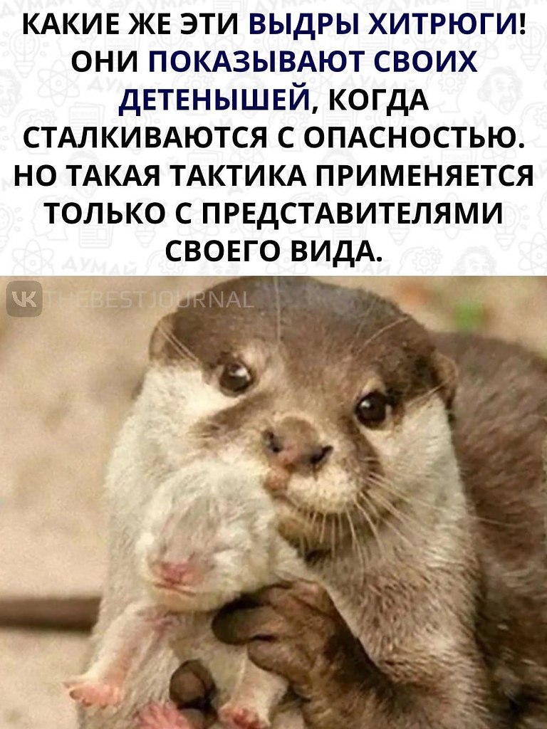     .  ,    )