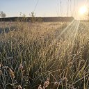 ���� ����, �������, 42 ���� - ��������� 14 �������� 2023 � ������ ������ ��������