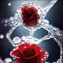 ���� �����, �����, 36 ��� - ��������� 20 ������� 2023