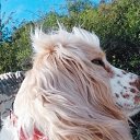  Simran, , 25  -  13  2023    