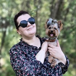 �������, 38 ���, ���������