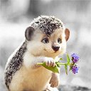 ���� Sergey, ����������� - ��������� 2 ������� 2023 � ������ ���� ����������