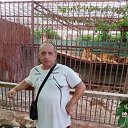 ���� �������, ��������, 54 ���� - ��������� 24 ������� 2023