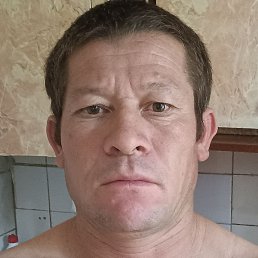 �����, ������, 36 ���