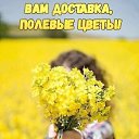 ���� ������, ���������, 56 ��� - ��������� 22 ���� 2023 � ������ ������ ��������