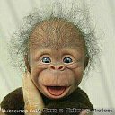 ���� �����, �����, 52 ���� - ��������� 11 ����� 2023 � ������ ���� ����������