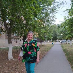 ����, ������������, 66 ���