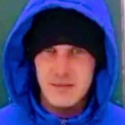 ������, ������, 33 ����