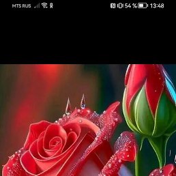 ������, ������, 53 ����