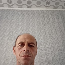 , 46, 