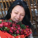 ���� �����, ������, 54 ���� - ��������� 29 ������� 2023 � ������ ���� ����������