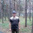 ���� �������, ���������� �����, 71 ��� - ��������� 8 ������� 2023 � ������ ���� ����������