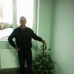 �����, �������, 51 ���