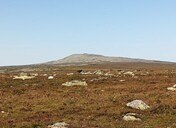 ������ �� ������� ���� ����������