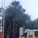 ���� �������, �������, 50 ��� - ��������� 31 ������� 2023