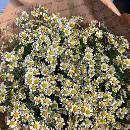 ���� �������, ������, 62 ���� - ��������� 30 ���� 2023