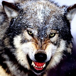 ���� ������, ������, 39 ��� - ��������� 10 ����� 2023