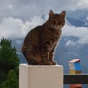 ���� ������, ��������, 54 ���� - ��������� 1 ���� 2023 � ������ ���� ����������