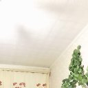 ���� ������, ������, 51 ��� - ��������� 16 ������� 2023 � ������ ���� ����������