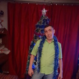 ����, �������, 36 ���