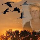 ���� :) ������, ����� - ��������� 12 ������� 2023 � ������ ���� ����������