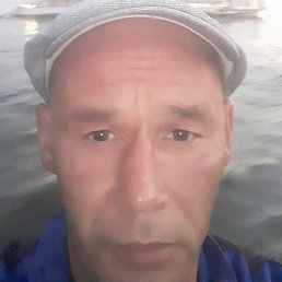 �����, ���������, 41 ���