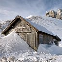 ���� �������, ���������, 47 ��� - ��������� 8 ������� 2023 � ������ ���� ����������