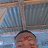 ���� Daniel, �����������, 24 ���� - ��������� 16 �������� 2023