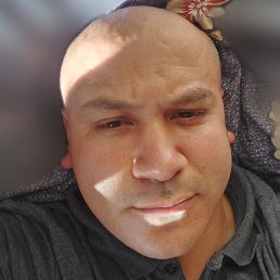 ������, �����-���������, 36 ���