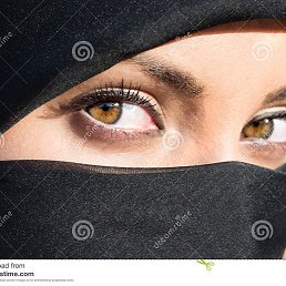 �����, ���������, 31 ���