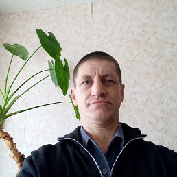 ���� ������, �����������, 55 ��� - ��������� 10 ����� 2023