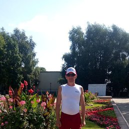 ���������, ������, 39 ���