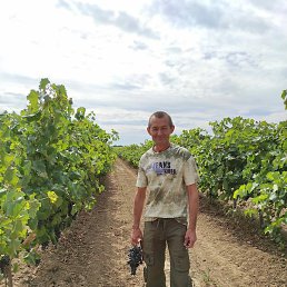 .��, �����-���������, 59 ���