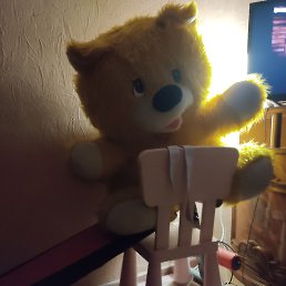 ������, ������, 51 ���